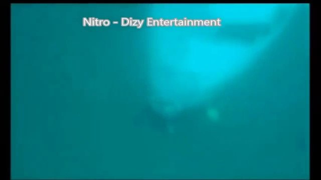 AirAsia Plane Crash Debris Found Including Bodies of Flight QZ 8501 VIDEO