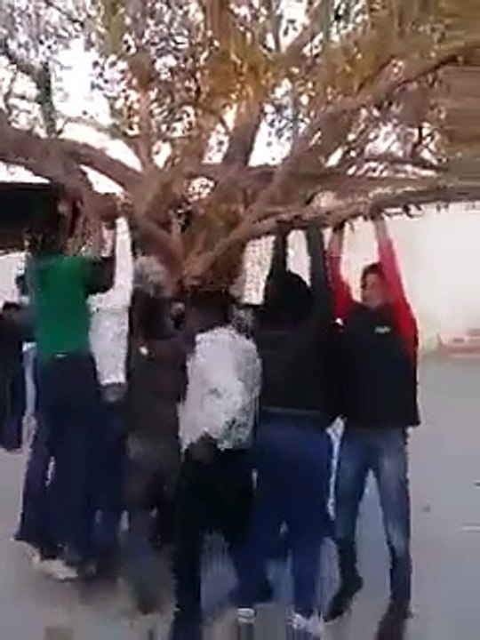 Attraction à sensations fortes avec une grosse branche d'arbre