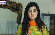 Parvarish Episode 12 Full on Ary Digital - December 30