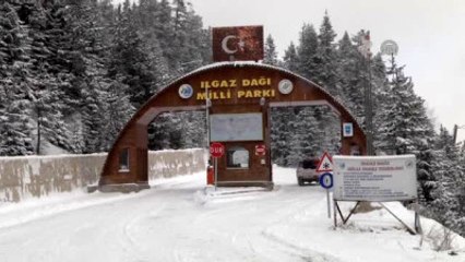Ilgaz'a Yılbaşı İlgisi