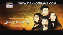 Chup Raho Episode 18 on ARY Digital Part 2 - December 30, 2014