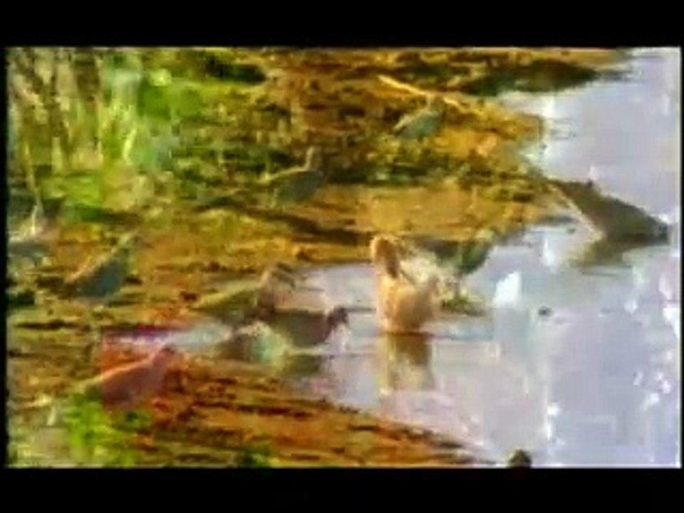 Balaghal Ula Be Kamalehi - Deerooz Dar Bustaan Sara - Rubai Sheikh Saadi - Naat & Durood - Tune.pk