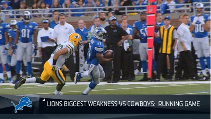 What is the Lions biggest weakness?