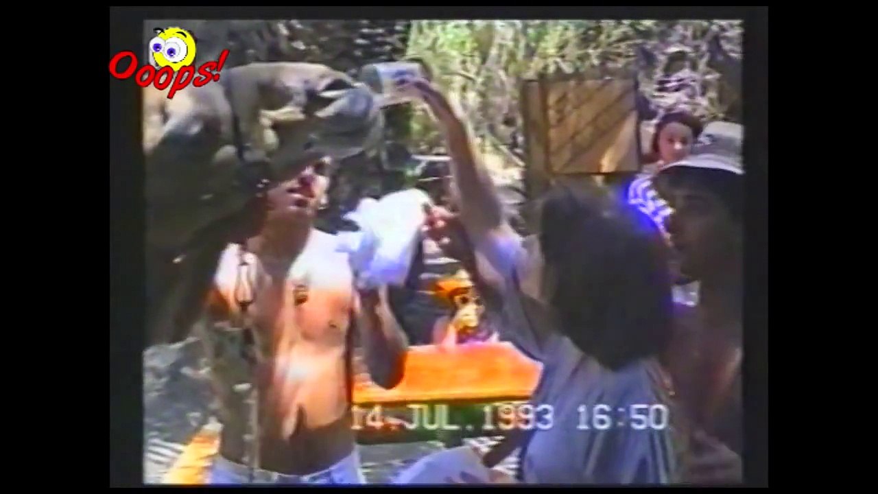 Funny Animals  Best of Camels