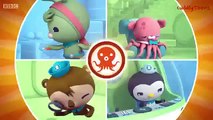 The Octonauts and the Harbour Seal (Series 3 Episode 13)