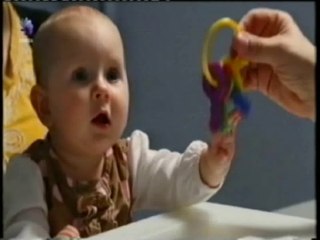 Evolucion del cerebro: Permanencia del objeto (Bebes vs. monos)