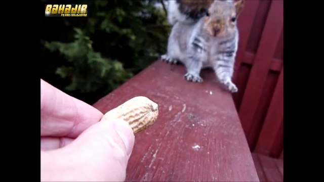 Да что вы вообще знаете об искушении...