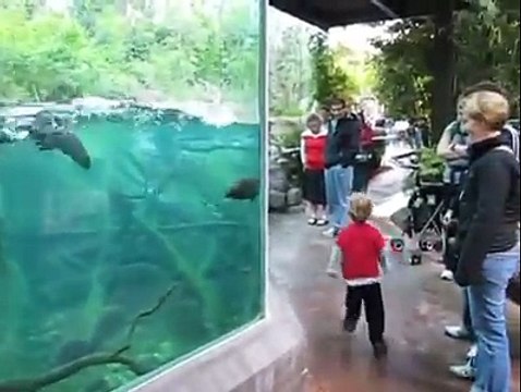 Les enfants et les animaux sont adorables a voir ensemble