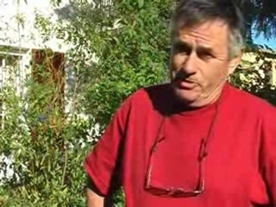 Bernard soutient Ségolène ROYAL