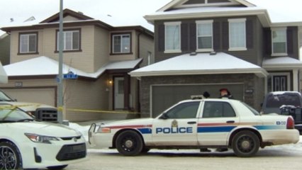 Canada deaths 'domestic violence'