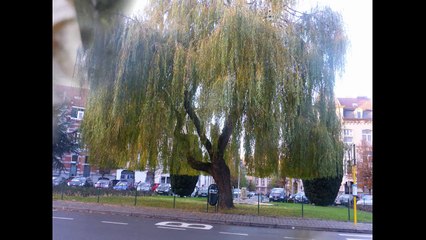 PHILIPPE ANCIAUX : "Saint-Gilles-sur-Cour" (extrait d'un vinyl, sorti en 1986)