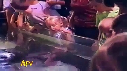 very funny reaction of people when scared