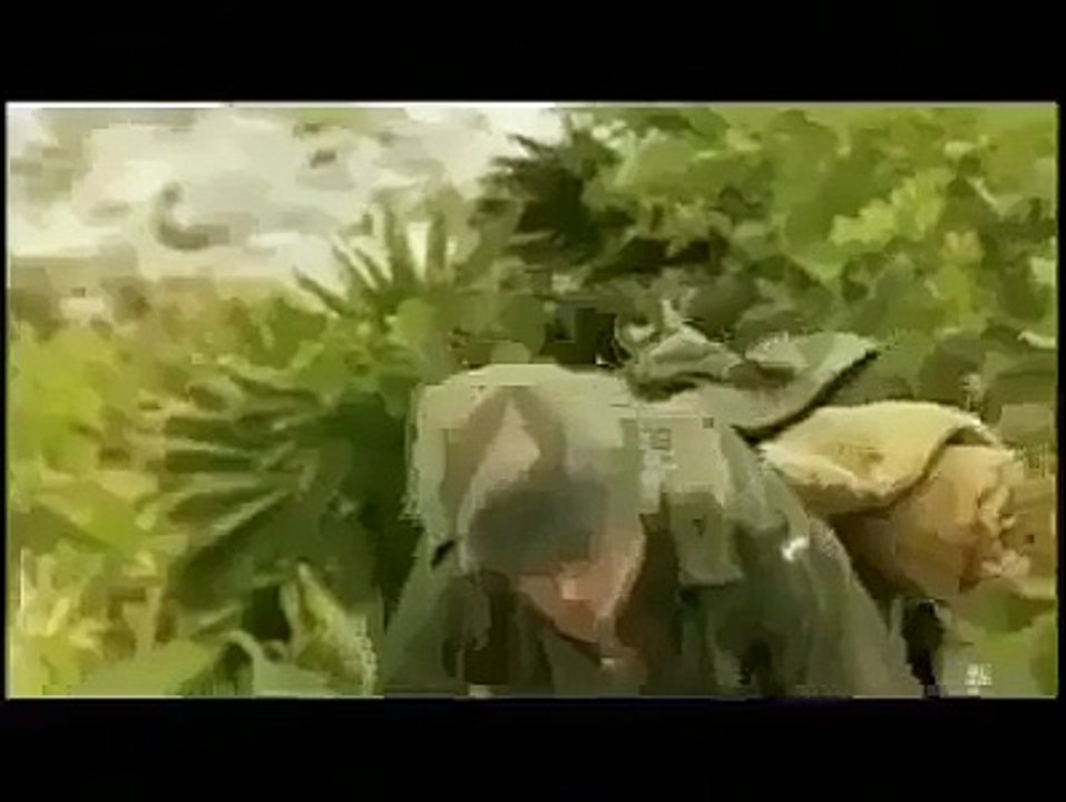 Kameenay dost
