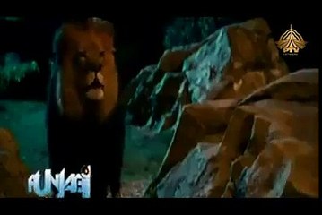 Hamare sher ka bhi kuch yahi hal hai