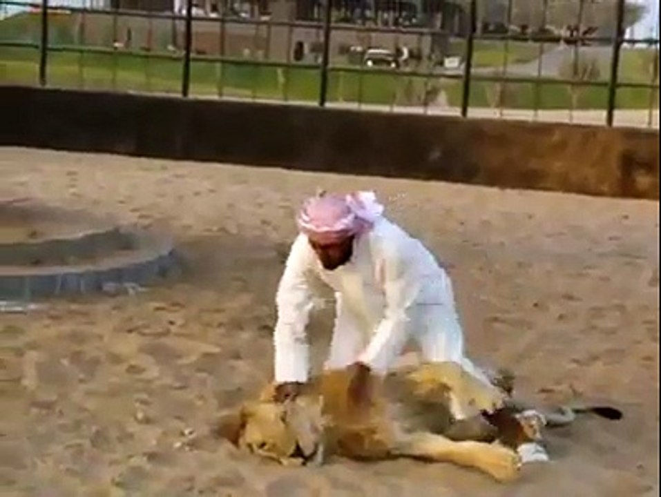 Arbi Babbarr Sher