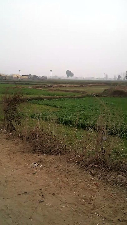 Village