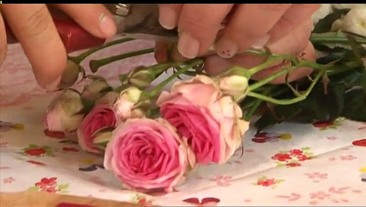 Vivolta - Sophie au pays des merveilles (Girly Party (2 2)) - 27-12-2014 16h00 01h30 (8523)