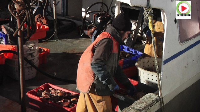 Belle-Île-en-Mer | Sauzon Hiver 2014 Estival | Belle-Île Télévision TVBI