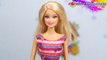 The Amaze Chase Camping Barbie Doll / Barbie na Kempingu - Barbie Sisters / Siostry Barbie - CCX00 - Recenzja