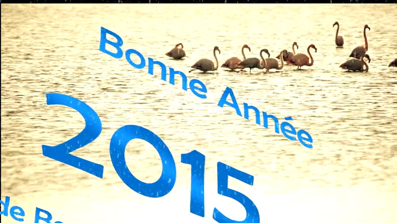 Bonne Année 2015 de Berre L'Etang