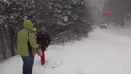 Bursa Sahipsiz Hayvanların Yardımsever Dostları