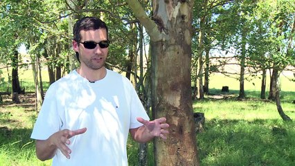 A agricultura inteligente no Uruguai