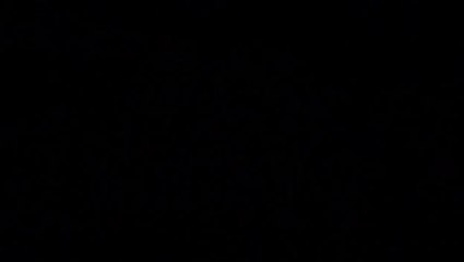 Johnny Hallyday - vivre pour le meilleur