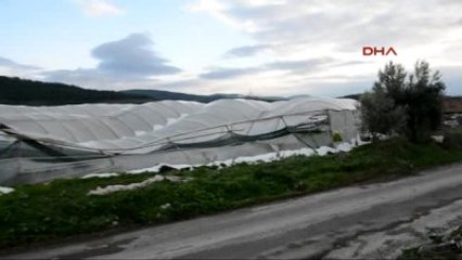 Akhisar Kar Mağduru Akhisarlı Seracılara Büyükşehir'den Destek Sözü