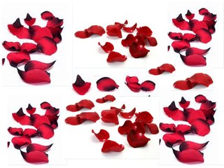 petals