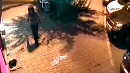 Yavru Kedileri Tekmeyle Öldüren Kadına 8 Yıla Kadar Hapis İstemi