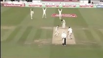 Damien Martyn PLUMB LBW to Steve Harmison 2005