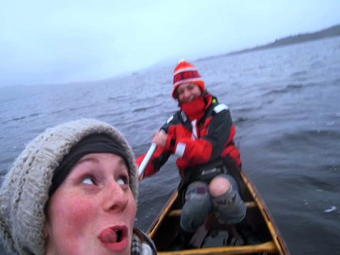 10 incroyables phénomènes naturels : vague d'oiseaux