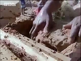 Wow .. its amazing .... SubhanAllah