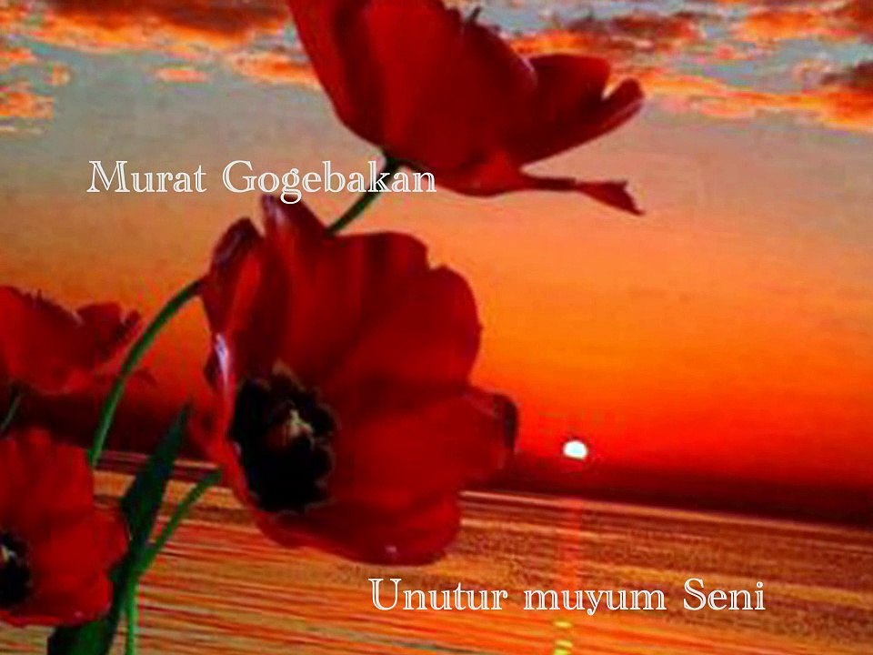 Murat Gogebakan - Unutur muyum Seni