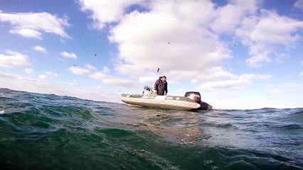 Plongée aux Glénans