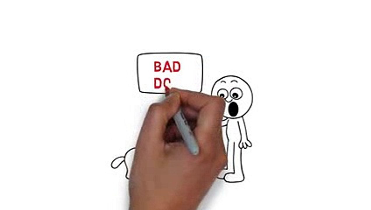 Dog Training Tips - Don't Make These Mistakes