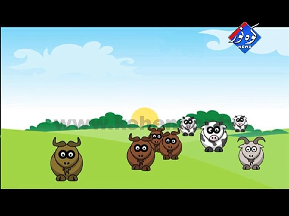 Eid ID ( Bakra ) 06-11-2011