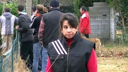 Nos meilleurs voeux pour 2015