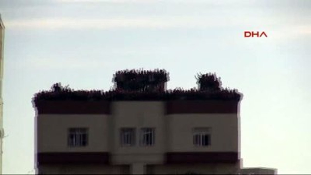 Cizrespor Başkanı Sefinç 2'nci Defa Tarih Yazdık