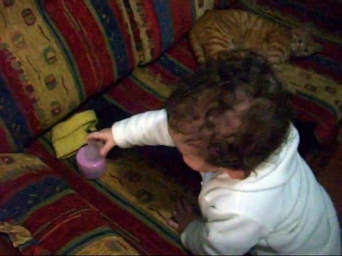 Kedilerle imtihan olan bebek