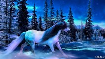 WINTER HORSES - WINTER SONATA - Only You ( Piano and Violin Instrumental )