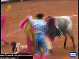 universe-news Mexican female bullfighter gored by bull_x264