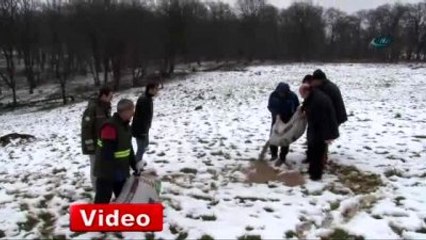 Geyikler İçin Belgrat Ormanı'na Yem Bırakıldı