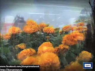 Dunya News - Fog clouds majority areas of Punjab