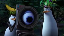 Penguins of Madagascar Movie CLIP - Slap Dance (2014) - Animated Movie HD