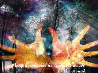 MISTRETUL CU COLTI DE ARGINT - Stefan Augustin DOINAS