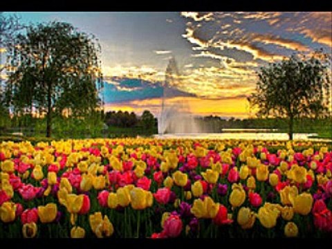 君の話をしておくれ PARLE-Moi DE TOI (エンリコ・マシアス & ENRICO MACIAS) シャンソン / 本邦・初訳詞(初稿)　Sima