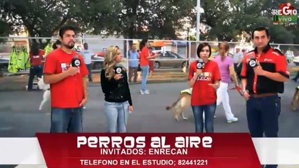 PERROS AL AIRE 27 DE DIC DEL 2014