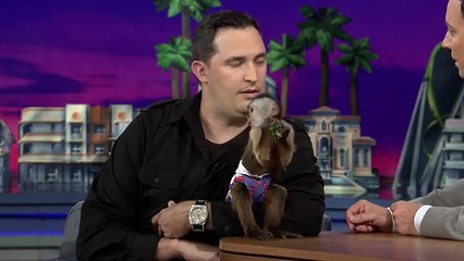 Jeff Musial Brings an Albino Alligator Family