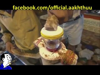 PEOPLIVE ! Shocking Snake Venom Freeze Human Blood in Seconds.